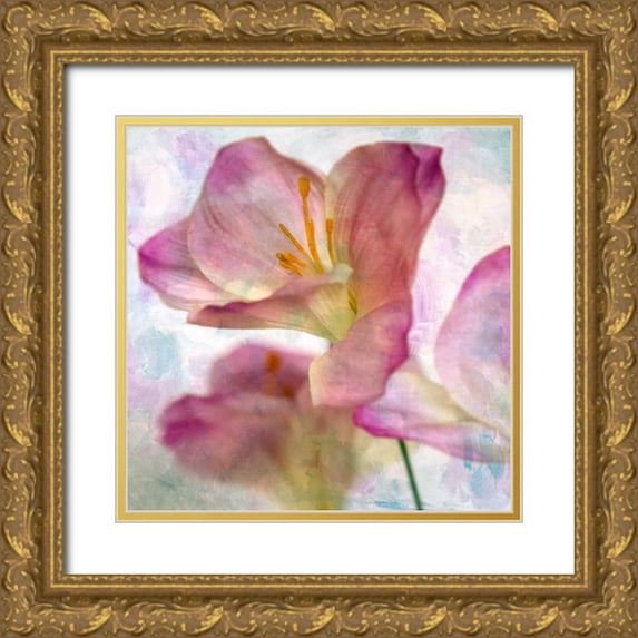 Malek, Honey 26x26 Gold Ornate Wood Framed with Double Matting Museum Art Print Titled - Pink Hyacinth I