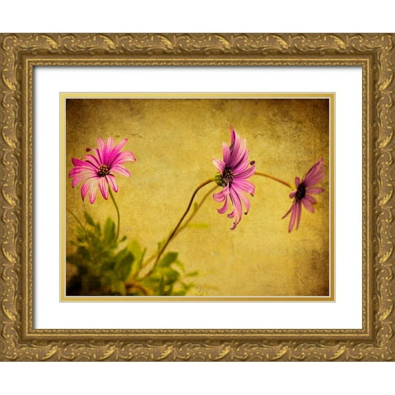 Malek, Honey 32x25 Gold Ornate Wood Framed with Double Matting Museum Art Print Titled - Fuchsia Daisy I