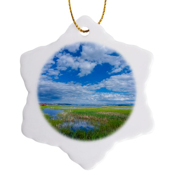 3drose, Malheur National Wildlife Refuge, Oregon. Migrating Birds Habitat., 3 inch Snowflake Porcelain Ornament
