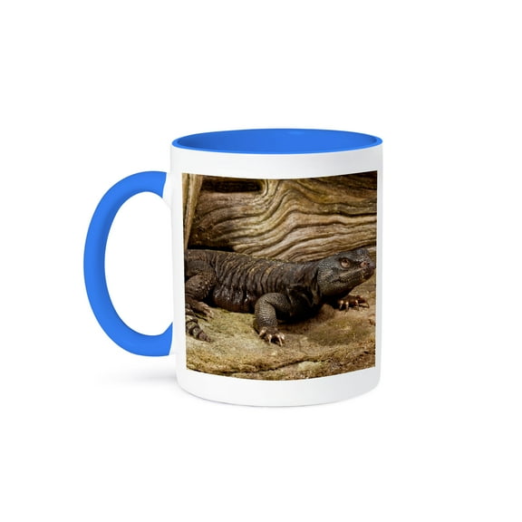 3dRose, Mali Uromastyx lizard, Native to Northern Africa - NA02 DNO0815 - David Northcott, 11oz Two-Tone Blue Mug
