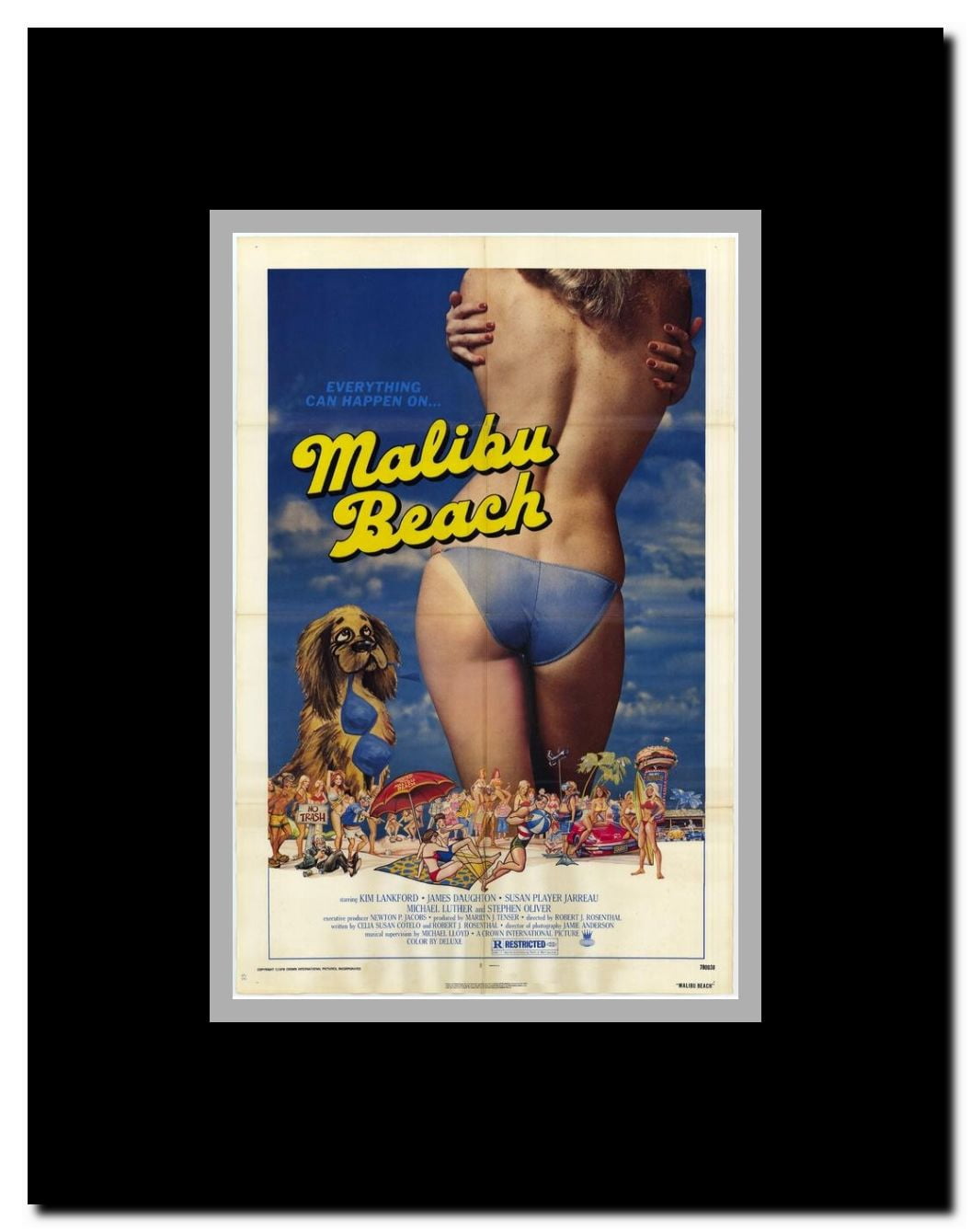 Malibu Beach Framed Movie Poster