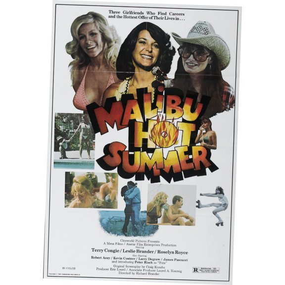 Malibu Hot Summer Movie poster Metal Sign 8inx 12in Metal Print 8x12 Square Adults Z Posters