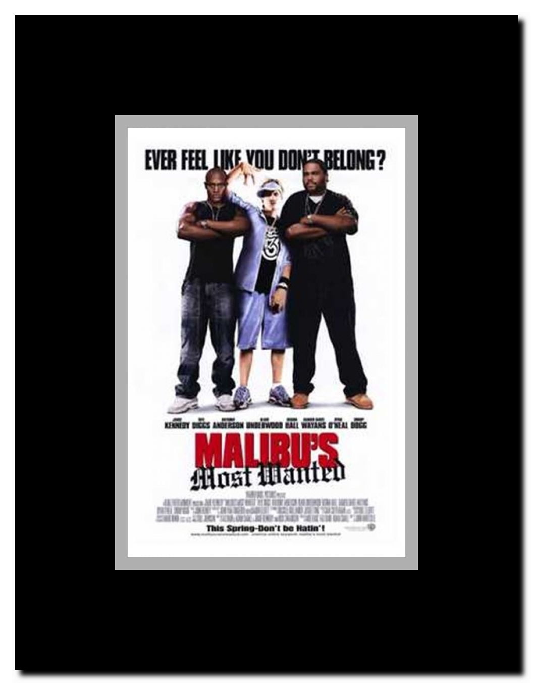Malibu's Most Wanted Framed Movie Poster