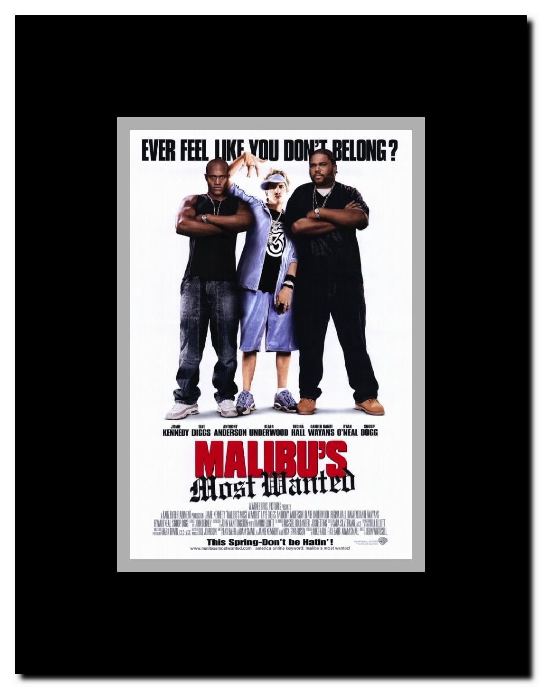 Malibus Most Wanted Framed Movie Poster