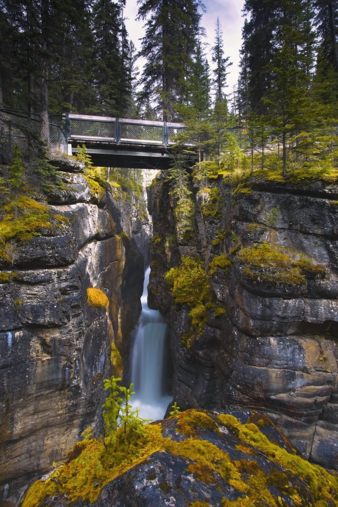 Maligne Canyon Waterfall Jasper National Park Jasper Alberta Canada Canvas Art - Carson Ganci  Design Pics (22 x 34)