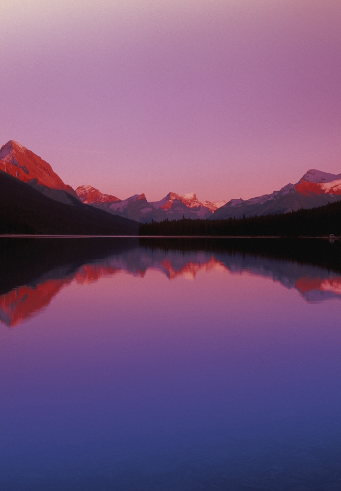 Maligne Lake And Mountains At Dusk Jasper National Park Alberta Canada Canvas Art - Carson Ganci Design Pics (11 x 17)