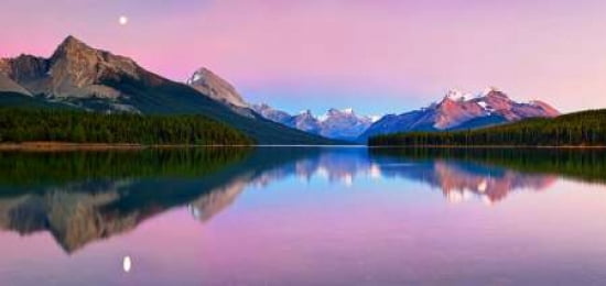 Maligne Lake Canvas Art - Yan Zhang (10 x 20)