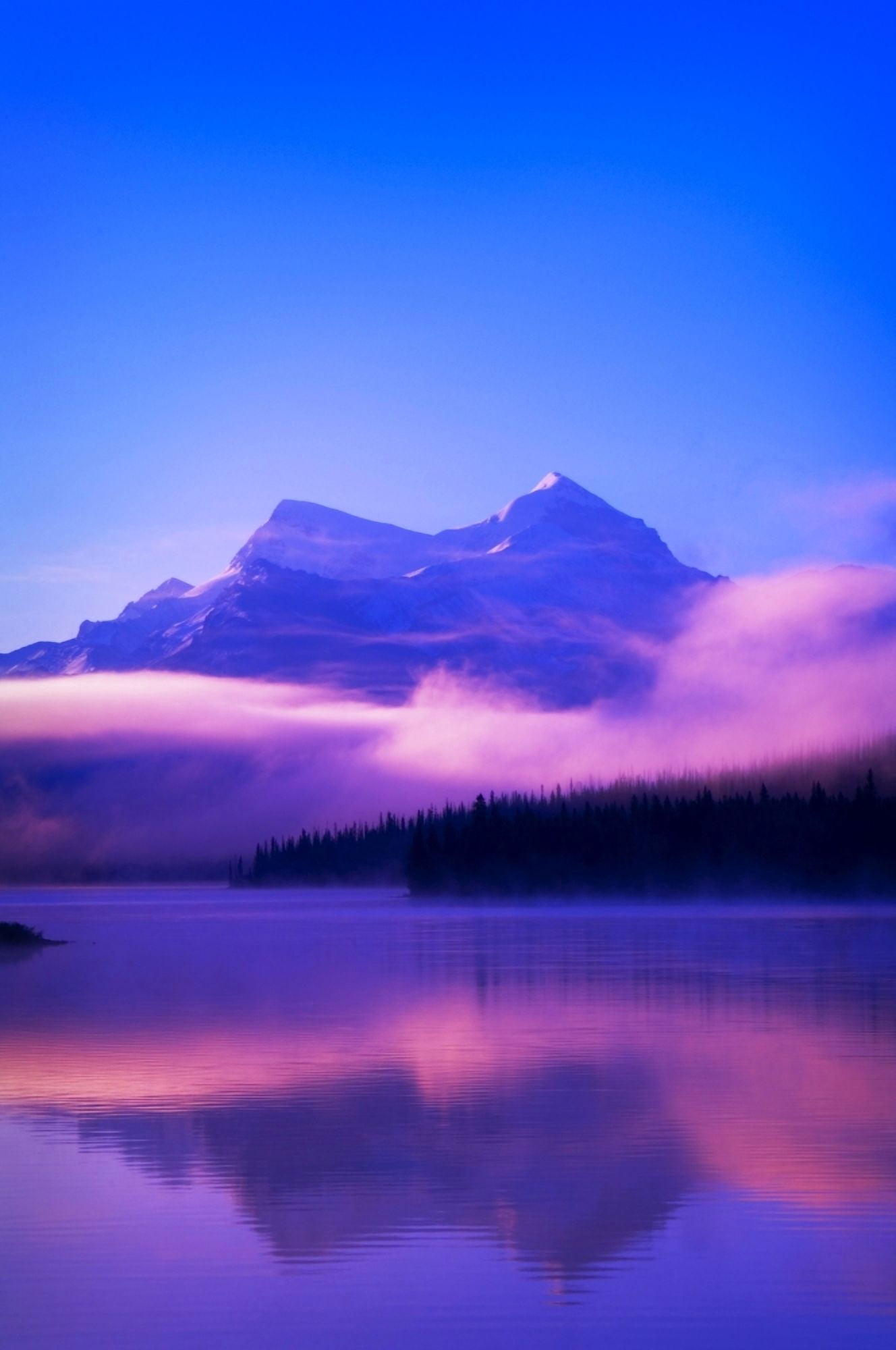 Maligne Lake Jasper National Park Alberta Canada Canvas Art - Corey Hochachka Design Pics (11 x 17)