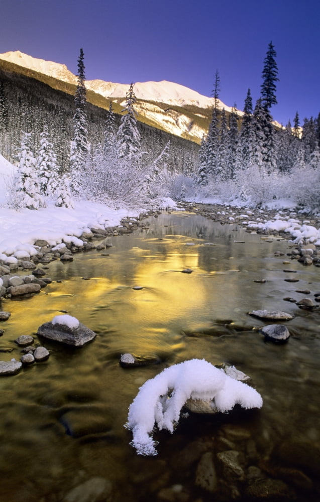 Maligne River And The Colin Range Jasper National Park Alberta Canada Canvas Art - Darwin Wiggett Design Pics (11 x 17)