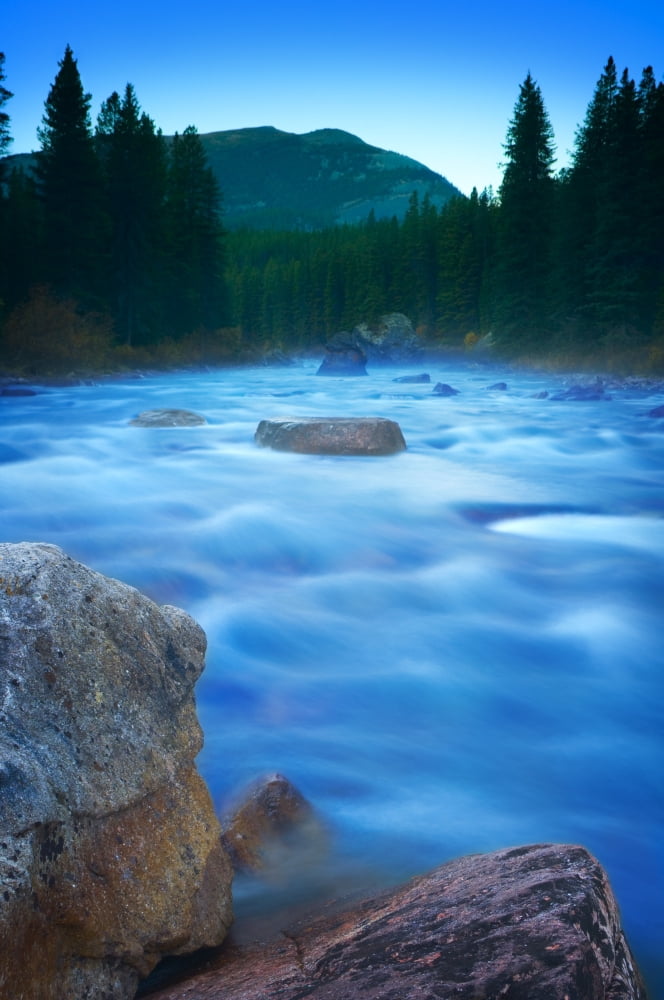 Maligne River Through The Rocky Mountains Canvas Art - Corey Hochachka Design Pics (22 x 34)