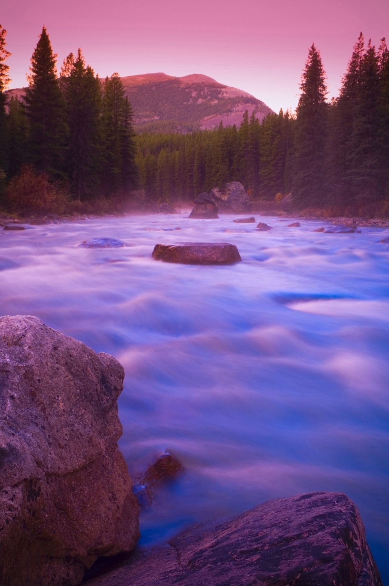 Maligne River Through The Rocky Mountains Canvas Art - Corey Hochachka  Design Pics (22 x 34)