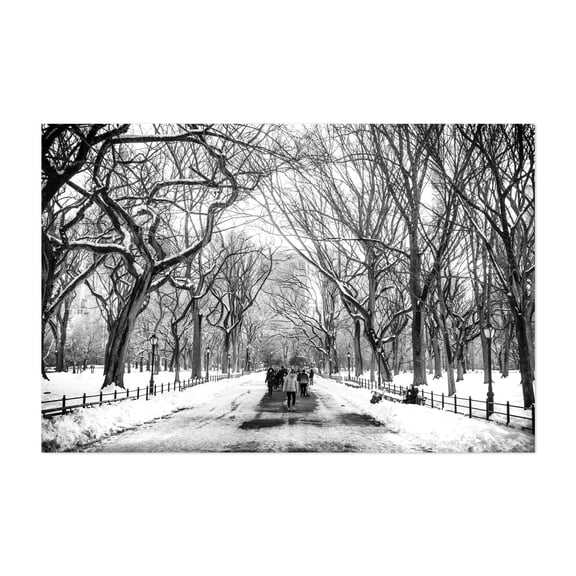 The Mall in Winter 01 - Manhattan New York Photography Winter Black and White Snow Cityscape Forest Landscape Scenic Unframed Wall Art Print 4 x 6 inches