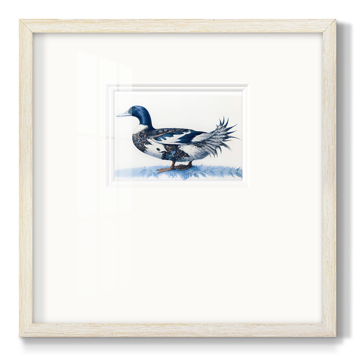 Mallard Blue IIPremium Framed Print