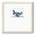 thumbnail image 1 of Mallard Blue IIPremium Framed Print, 1 of 5