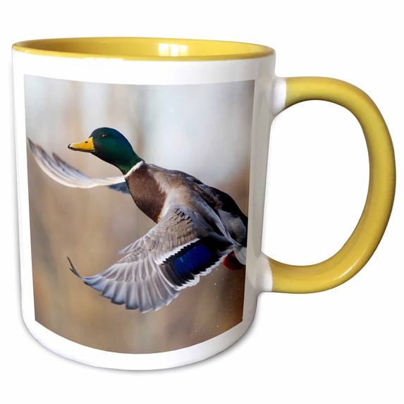 3drose, Mallard Drake, 15oz Two-tone Yellow Mug