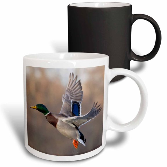 3drose, Mallard Drake Flying, 11oz Magic Transforming Mug