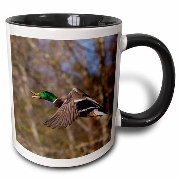 3drose, Mallard Drake Flying., 11oz Two-tone Black Mug