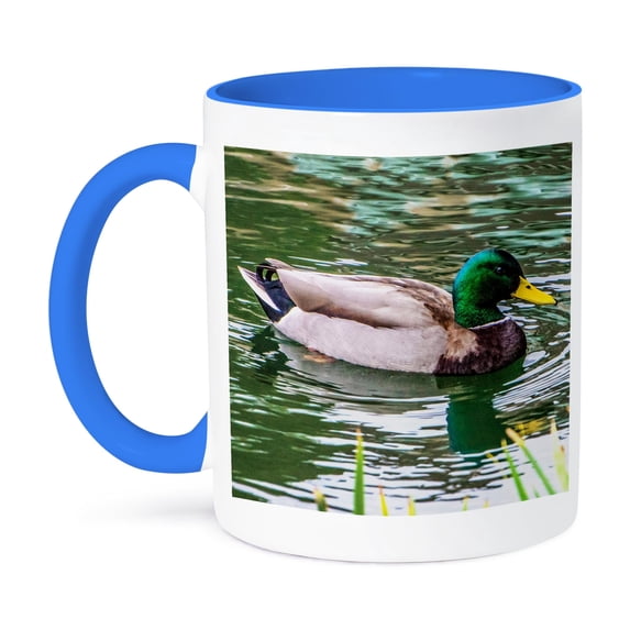 3dRose, Mallard Duck, 15oz Two-Tone Blue Mug