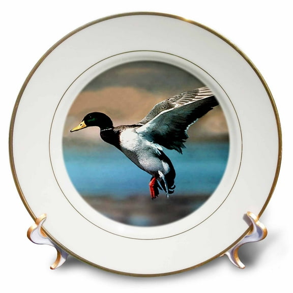 3dRose, Mallard Duck, 8 inch Porcelain Plate