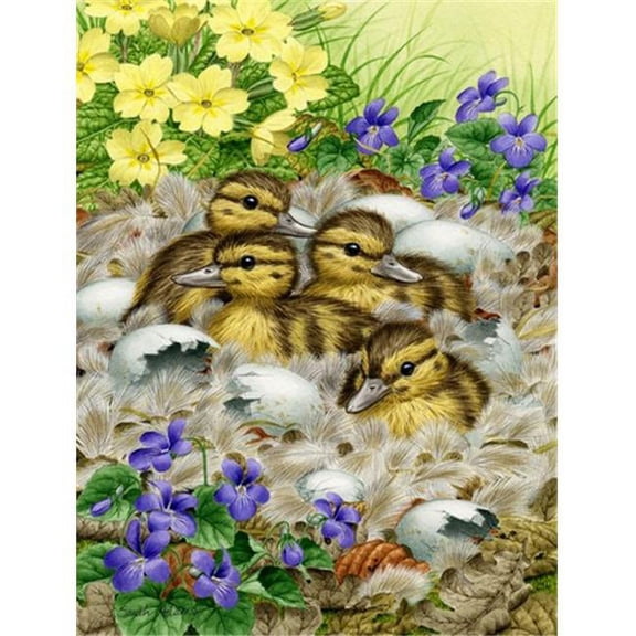 Mallard Duck Chicks Flag Garden Size