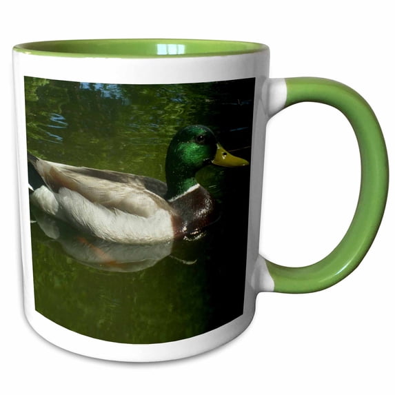 3drose, Mallard Duck Floating Gracefully, 15oz Two-tone Green Mug