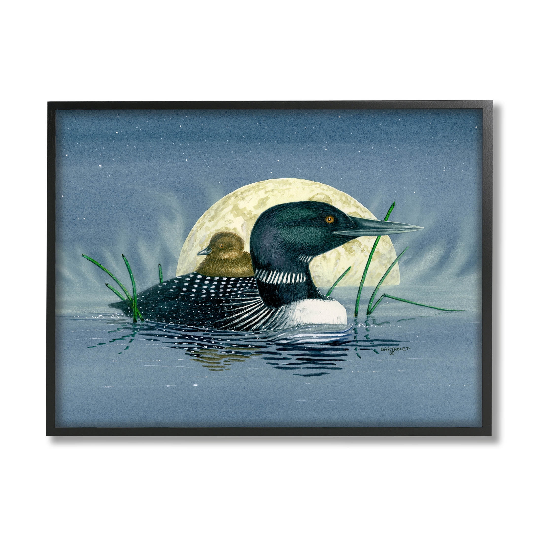 Mallard Duck Moonlit Pond Animals & Insects Graphic Art Black Framed Art Print Wall Art