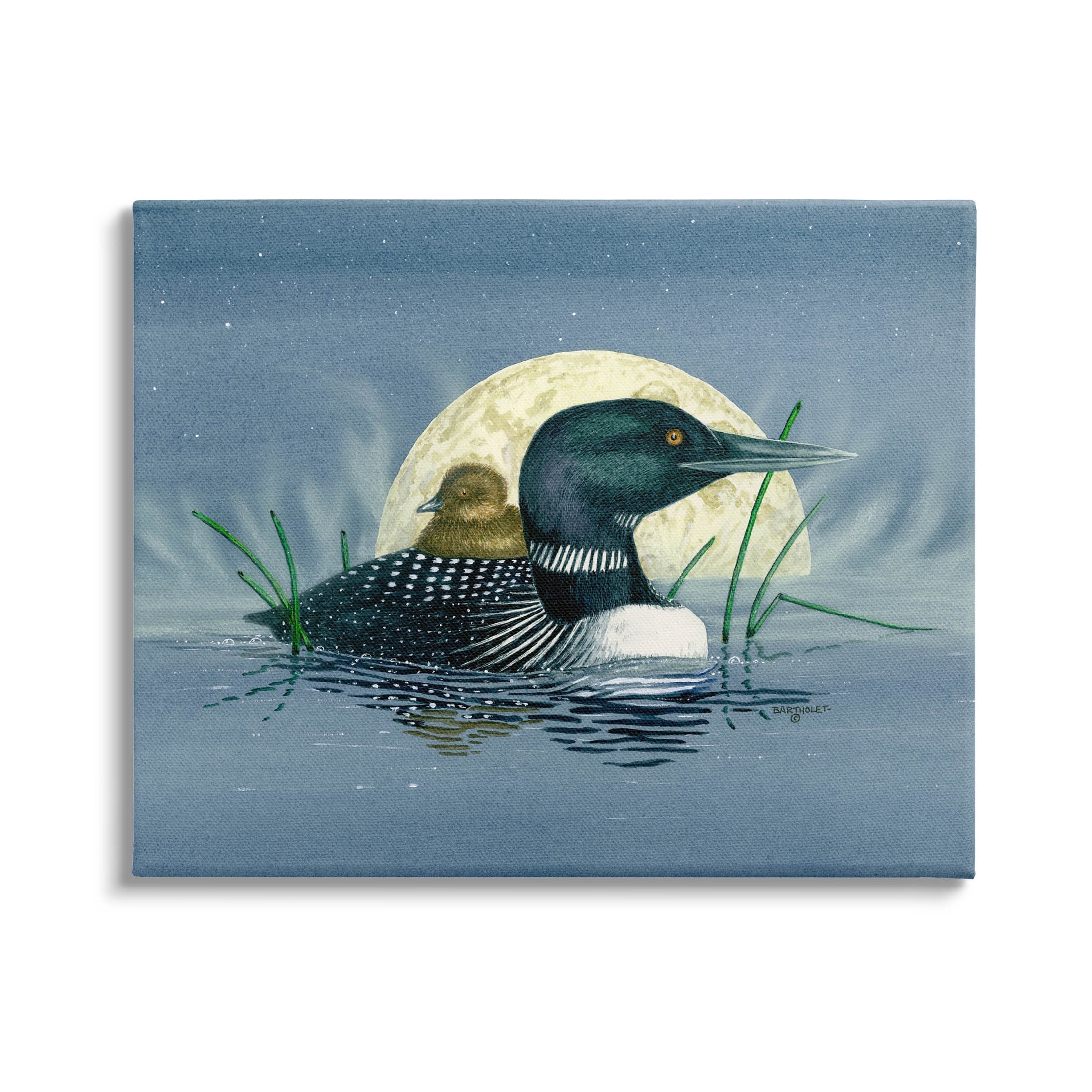 Mallard Duck Moonlit Pond Animals & Insects Graphic Art Gallery Wrapped Canvas Print Wall Art
