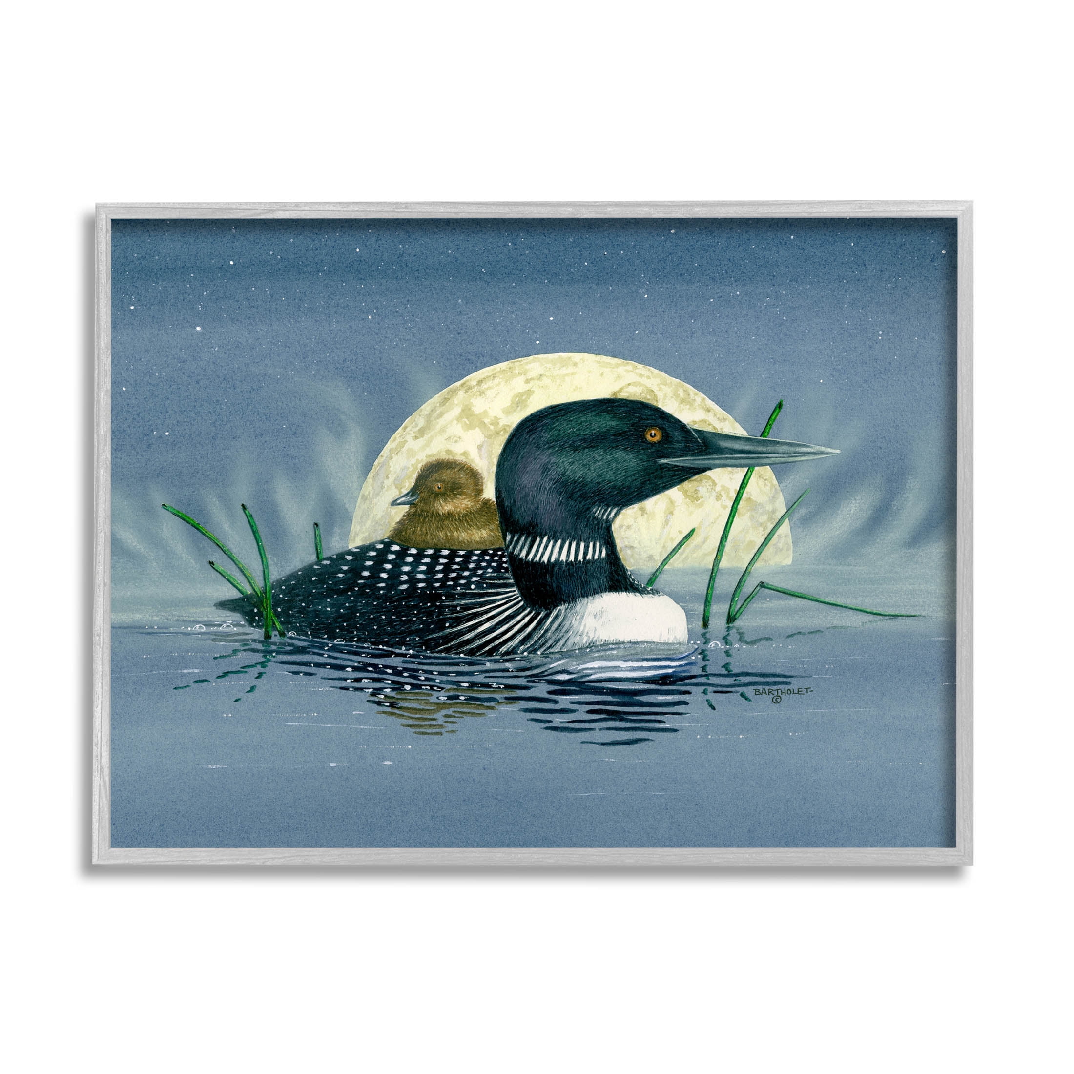 Mallard Duck Moonlit Pond Animals & Insects Graphic Art Gray Framed Art Print Wall Art