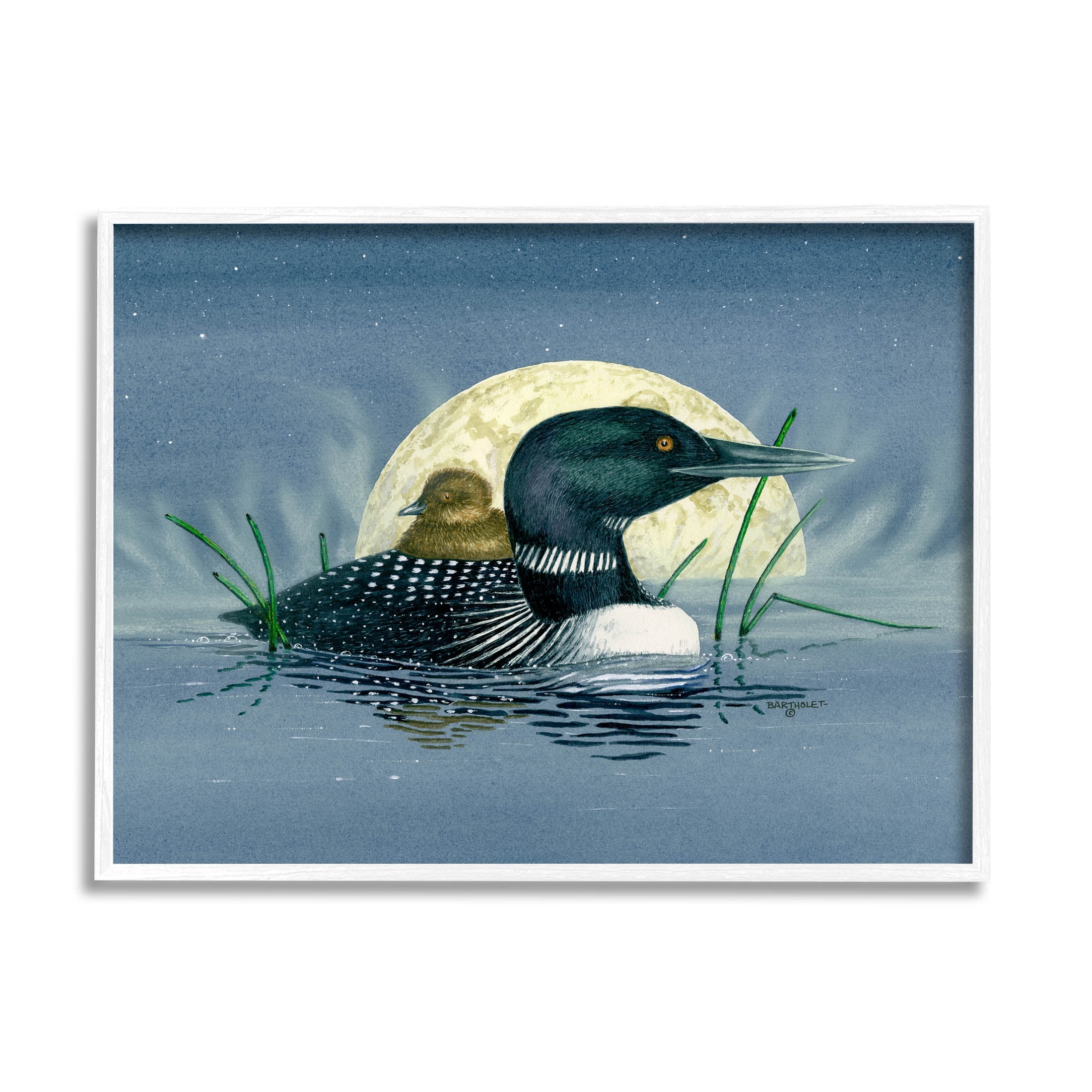 Mallard Duck Moonlit Pond Animals & Insects Graphic Art White Framed Art Print Wall Art