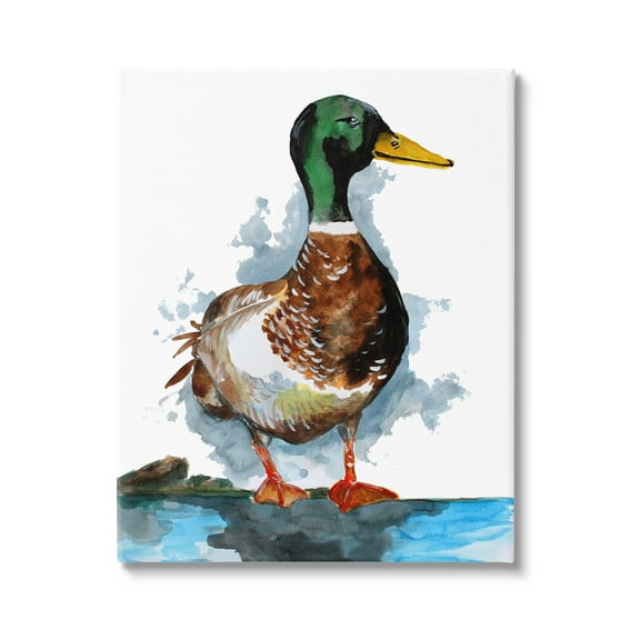 Mallard Duck Water's Edge Animals & Insects Graphic Art Gallery Wrapped Canvas Print Wall Art