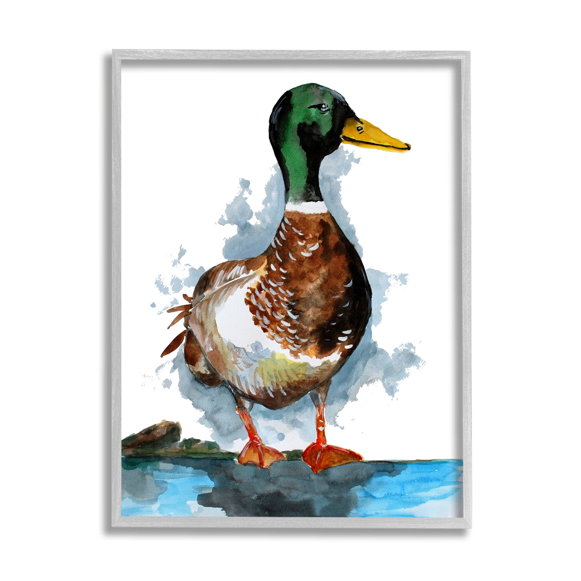 Mallard Duck Watercolor Art in Gray Wood Frame, 16" x 20"