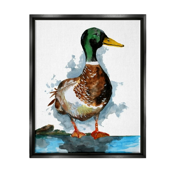 Mallard Duck Water's Edge Animals & Insects Graphic Art Jet Black Framed Art Print Wall Art