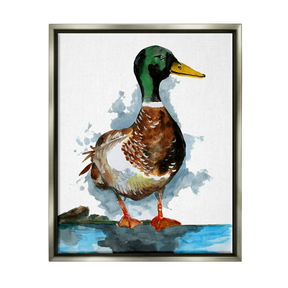 Mallard Duck Water's Edge Animals & Insects Graphic Art Luster Gray Framed Art Print Wall Art