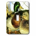 thumbnail image 1 of 3dRose, Mallard Duck, single toggle switch, 1 of 1