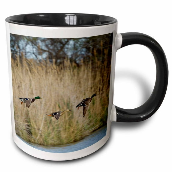 3drose, Mallard Ducks, France - Eu09 Aje0146 - Adam Jones, 15oz Two-tone Black Mug