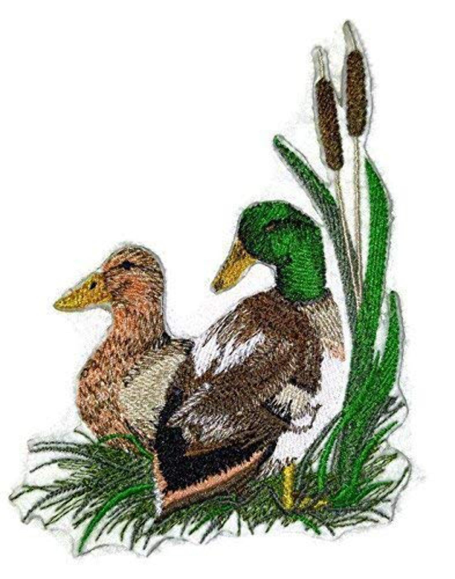 Mallard Pair Embroidered Iron on/Sew Patch [5" X 3.5"]
