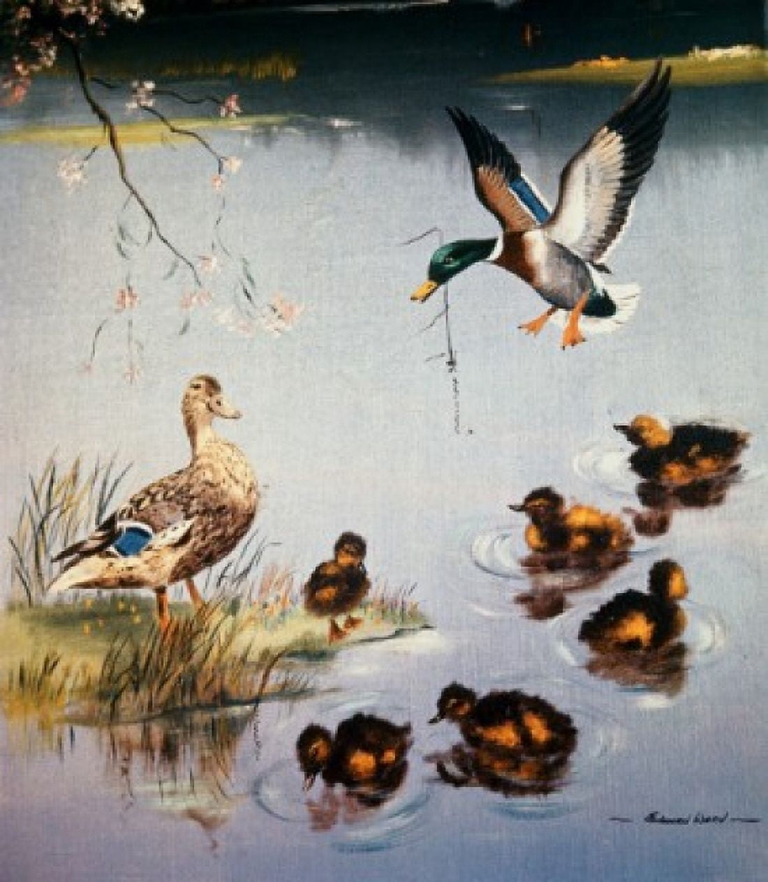 Mallards Edward Matthew Ward (1816-1879 British) Canvas Art - Edward Matthew Ward (18 x 24)