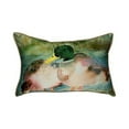 thumbnail image 1 of Mallards Large Indoor/Outdoor Pillow 16x20, 1 of 4