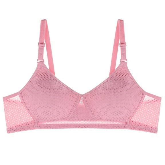 Bra No Underwire Women Seamless Bra Feature V-Neck T-Shirt Bra Style W-1763 Pinks S