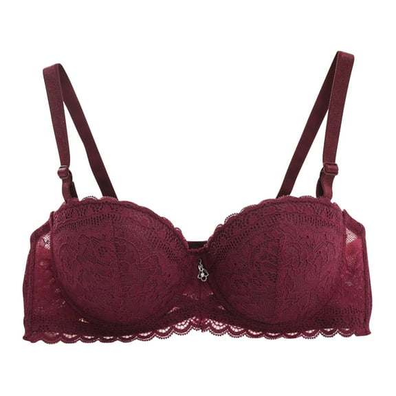 Plus Size Bras Women Full-Coverage Bra Feature V-Neck Padded Bra Style W-1849 Wine L