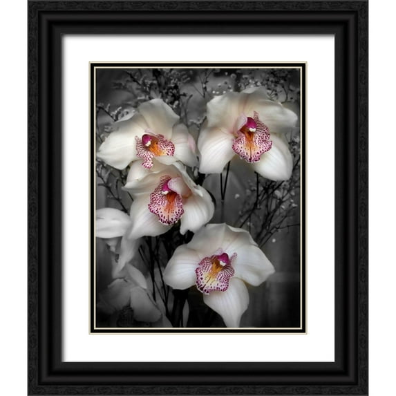 Maloratsky, Igor 20x24 Black Ornate Wood Framed with Double Matting Museum Art Print Titled - Cymbidium Orchid White