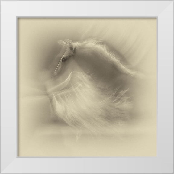Malovrh, Milan 12x12 White Modern Wood Framed Museum Art Print Titled - White On White