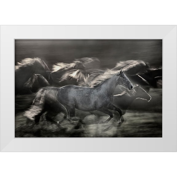 Malovrh, Milan 14x11 White Modern Wood Framed Museum Art Print Titled - In Gallop
