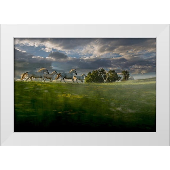 Malovrh, Milan 18x13 White Modern Wood Framed Museum Art Print Titled - In The Morning Pink