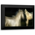 thumbnail image 1 of Malovrh, Milan 24x17 Black Modern Framed Museum Art Print Titled - Grace, 1 of 5