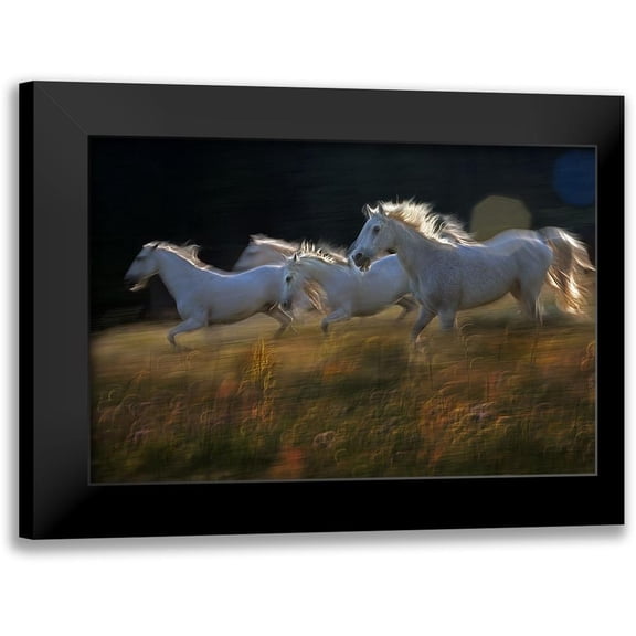 Malovrh, Milan 24x17 Black Modern Framed Museum Art Print Titled - Pass