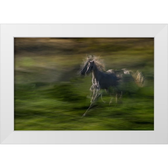 Malovrh, Milan 32x23 White Modern Wood Framed Museum Art Print Titled - Galloping