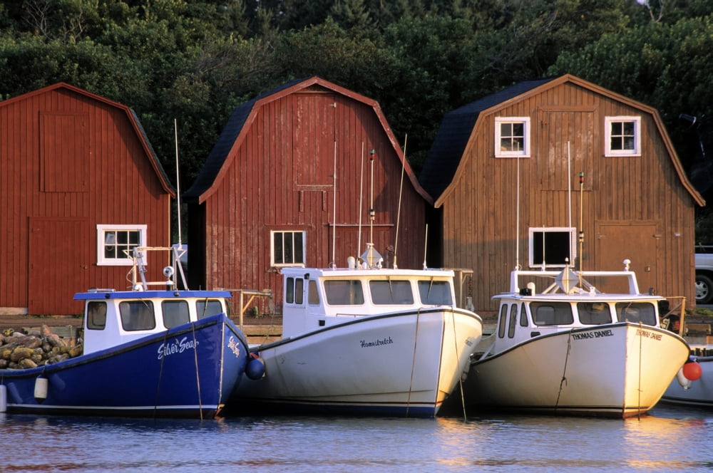 Malpeque Harbour Prince County Prince Edward Island Canvas Art - Ron Watts  Design Pics (34 x 22)