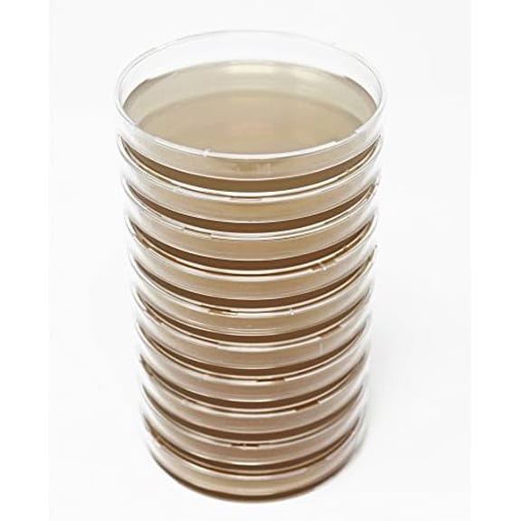 Malt Extract Agar (MEA) Plates for Mushroom Cultivation (10 Prepoured Agar Plates)$$Medical Aids & Equipment