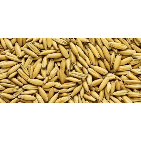 Malted Oats (Whole/Not Milled) 10 lbs
